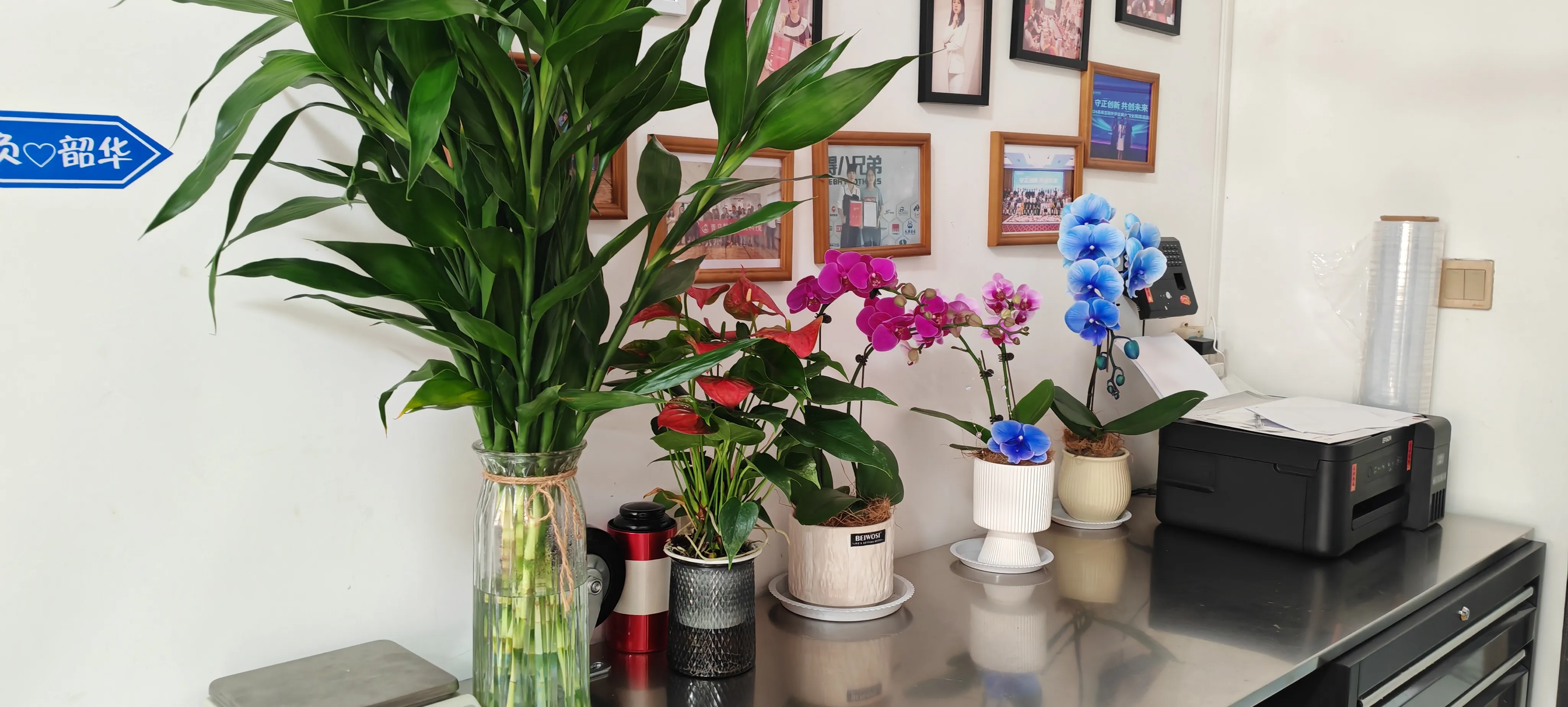 Добре дошли, новите приятели на JOJO Pack!