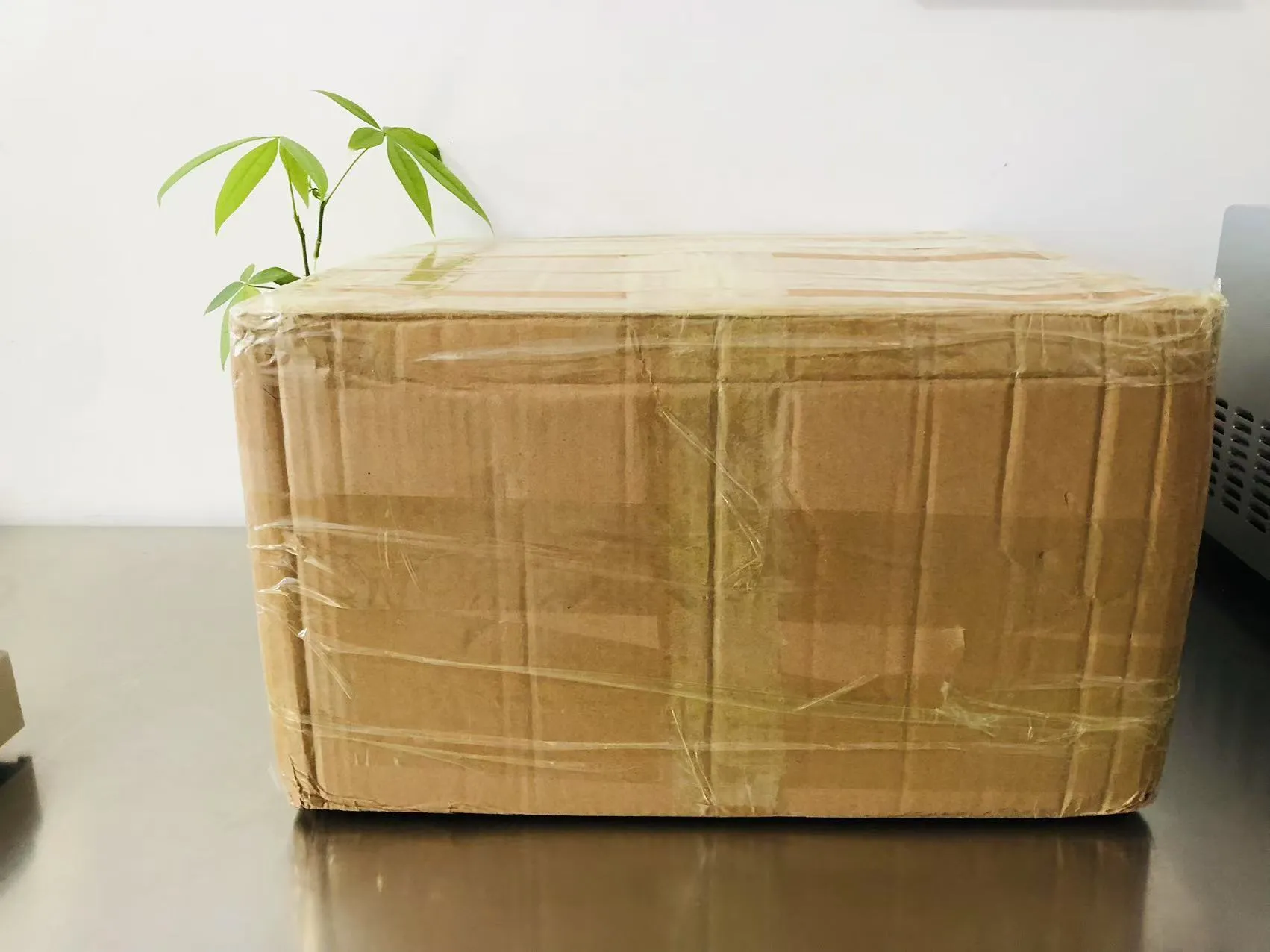 Анимационни плътни епоксидни стикери сега на път за Япония